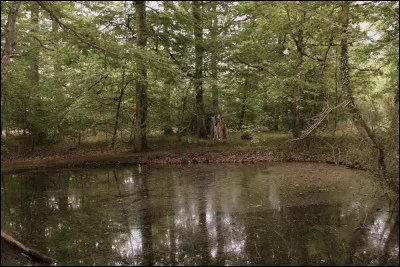 Mare au diable : qui en est l'auteur ?