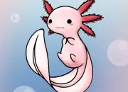 Test Quel axolotl es-tu ?