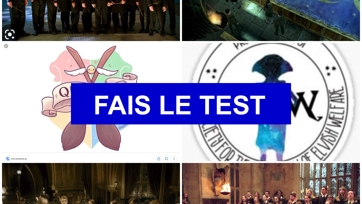 Test : Quel Balais Aurais-Tu Dans Harry Potter ?