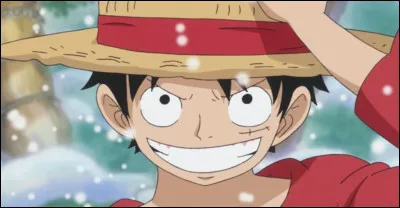 Quelle est la prime de Luffy ?