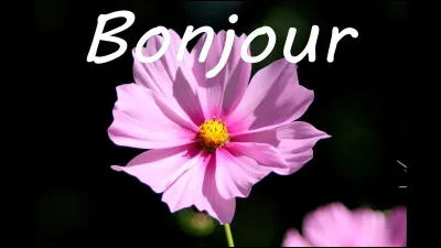 Déjà bonjour !