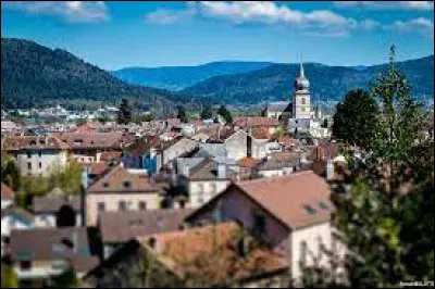 Comment appelle-t-on les habitants de Remiremont (Vosges) ?