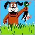 Qu'y avait-il d'crit lorsqu'un canard arrivait  s'enfuir dans Duck Hunt ?