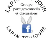 Quiz Le langage du lapin