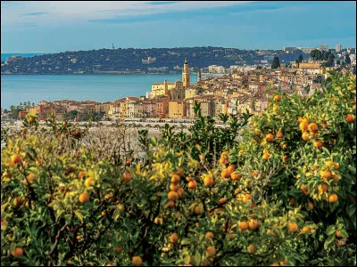 Une ville du département des Alpes-Maritimes partage son nom avec une des parties du visage.