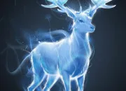 Test Quel est ton patronus dans ''Harry Potter'' ?