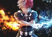 Quiz Shoto Todoroki