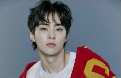 Avec quelle autre idole de k-pop Xiumin a-t-il était dans le même lycée ?