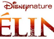 Quiz Les flins Disney