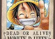 Quiz Connais-tu vraiment One Piece ?