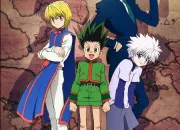 Quiz Qui est-ce ? version ''Hunter x Hunter''