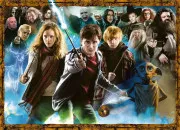 Quiz Quel personnage est-ce (Harry Potter) ?