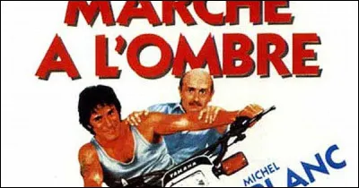 En 1980, qui chantait "Marche à l'ombre" ?