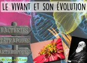 Quiz 3e brevet SVT - Le vivant et son volution