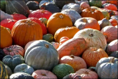 Les courges sont des fruits.