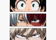 Test Es-tu Izuku, Bakugo ou Shoto ?