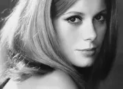 Quiz Les films avec Catherine Deneuve