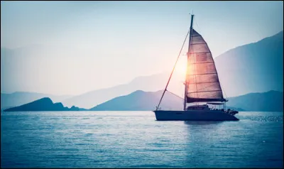 "Fais comme si j'avais pris la mer / J'ai sorti la grande voile / Et j'ai glissé sous le vent...". Qui chante "Sous le vent" en duo avec Garou ?