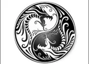 Quiz Sais-tu ce qui se cache derrire le yin et le yang ☯ ?