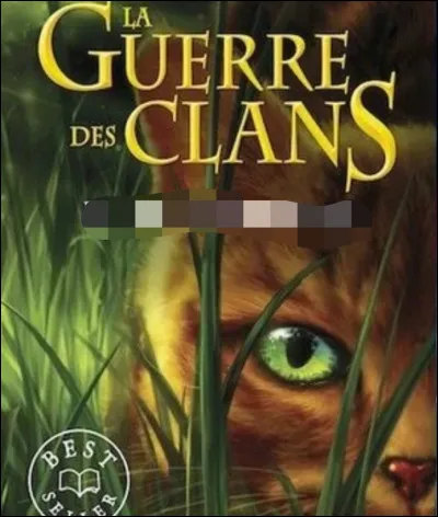 Trouve le titre du livre 1. Qu'est-ce que c'est ?