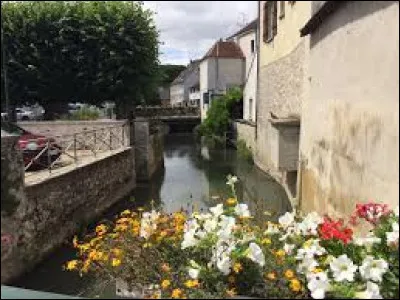 Crécy-la-Chapelle est une commune de l'Île-de-France surnommée "La Venise Briarde".