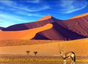 Quiz Quiz sur la Namibie