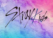 Quiz Quiz de rapidit sur ''Stray Kids''