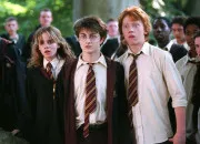 Quiz Qui est-ce ? 'Harry Potter'