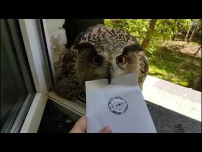 Tu dessines mais un hibou pénètre dans ta chambre. Il a une lettre. Comment réagis-tu ?