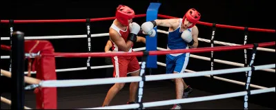 Pour arrêter un combat de boxe, l'entraîneur jette ...