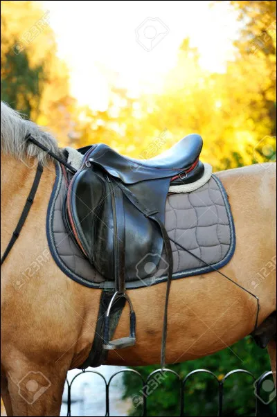 Pourquoi mettre une selle sur le cheval ?