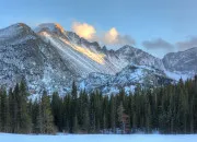 Quiz Les animaux de la montagne