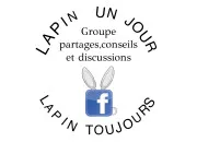 Quiz Le lapin !