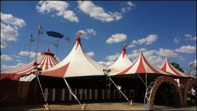 Il y a toujours un Monsieur ou une Madame Loyal dans les spectacles de cirque.