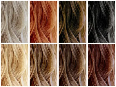 De quelle couleur sont tes cheveux ?