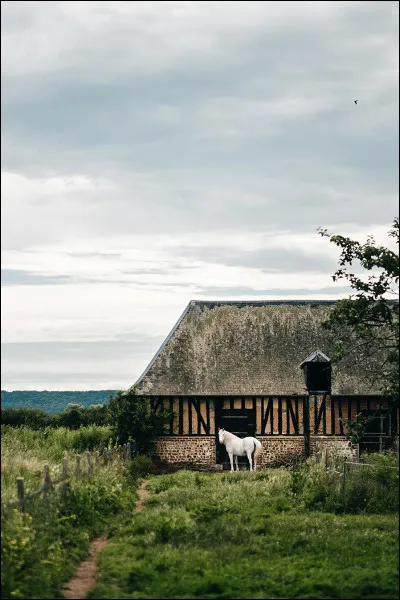 Je suis surnommé "cheval blanc de la mer", je suis le seul à manger de la salicorne (plante des marais). Qui suis-je ?