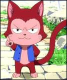 Quiz Fairy tail