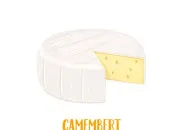 Quiz Camembert