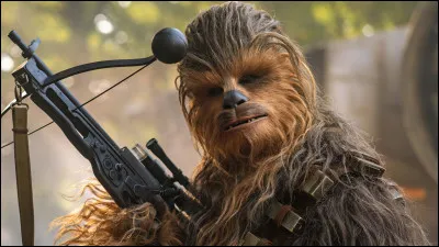 Si je vous parle de Chewbacca...