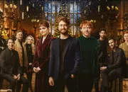 Test Quel mtier de ''Harry Potter'' ferais-tu ?