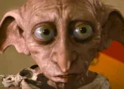 Quiz Dobby