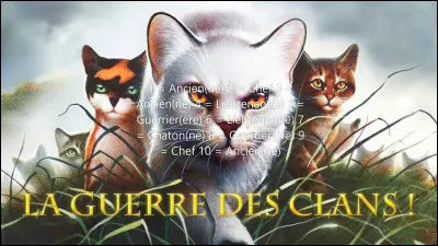 Qui préfères-tu comme chef ?