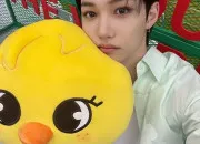 Quiz Les peluches de Stray Kids