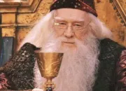 Quiz Harry Potter : les professeurs