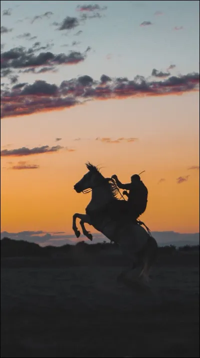 Qu'est-ce que l'équitation ?