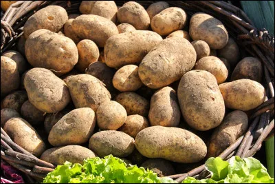 D'où vient la tortilla de patates ?