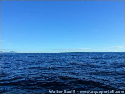 Un litre d'eau glacée est aussi lourd qu'un litre d'eau liquide.