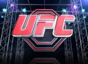 Quiz UFC