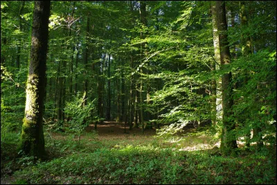 Déjà, aimes-tu la nature ?