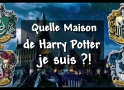 Test Quelle est ta maison (Harry Potter) ?